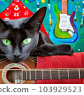 black cat with face on guitar 103929523