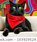 black cat with a bandana around its neck 103929524