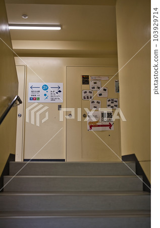 Inside the Muroto Abandoned School Aquarium 103929714