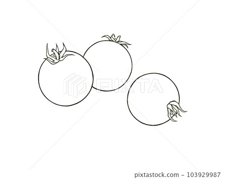 Line drawing illustration of three simple mini tomatoes 103929987
