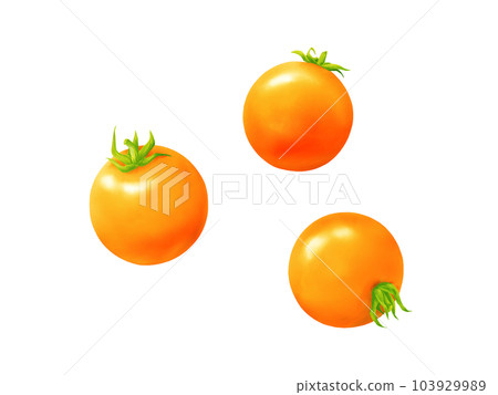 Realistic watercolor illustration of three kinds of yellow mini tomatoes 103929989