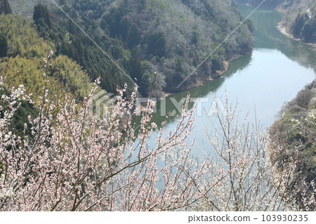 月瀨梅林與名張川 月瀨梅林與名張川 103930235