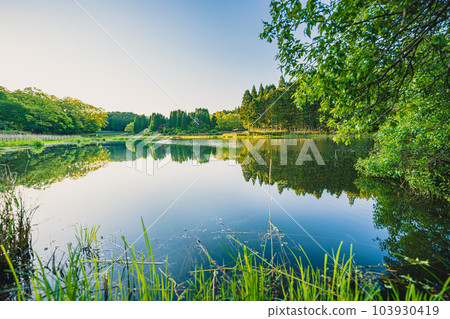 沐浴在清晨陽光下的奈良縣宇田市龍河淵的景色 103930419