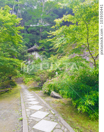 寺廟山路寺廟森林木亞洲 寺廟山路寺廟森林木亞洲 103930441