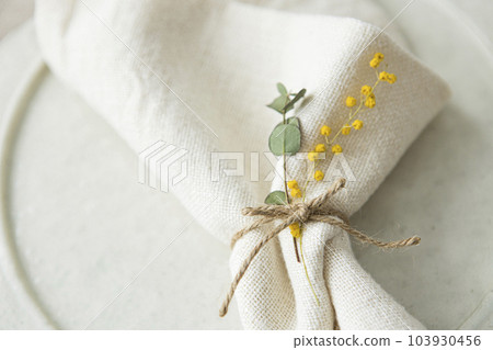 麻布與含羞草天然餐桌協調 103930456