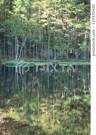 禦沙加池春景 103930488