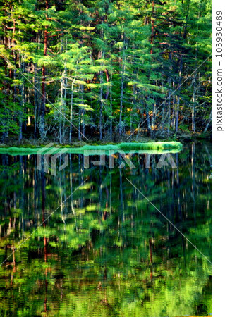 禦沙加池春景 103930489