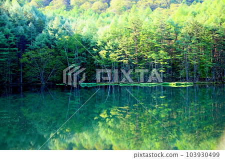 禦沙加池春景 103930499