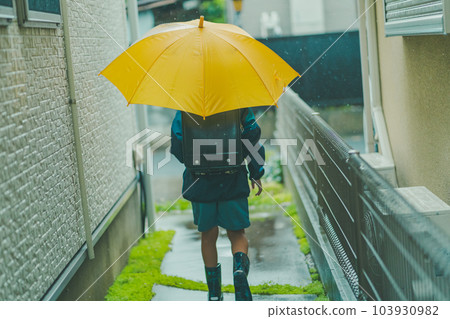 rain, rainy, elementary student 103930982