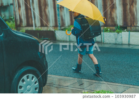 下雨 雨 多雨 103930987