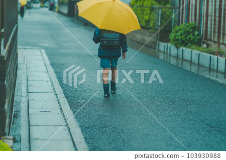 下雨 雨 多雨 103930988