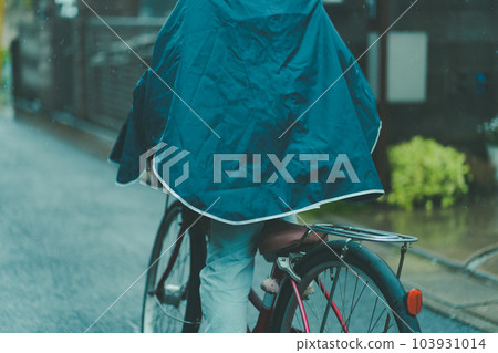 rain, rainy, female 103931014