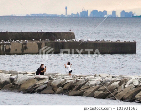 Parents and children taking pictures on the beach and a flock of seagulls 103931563
