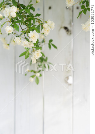 Photo of Mokkoubara and fence Photo of Mokkoubara and fence 103931772