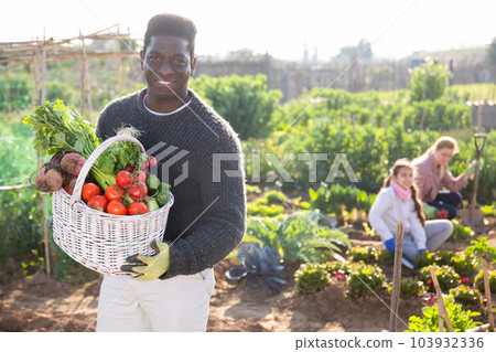 Portrait of a African american man in a vegetable garden with a basket of crops 103932336