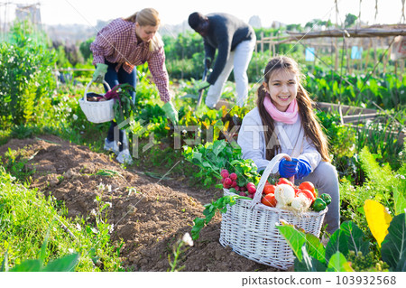 Teenage farmer girl posing with gathered vegetables Teenage farmer girl posing with gathered vegetables 103932568