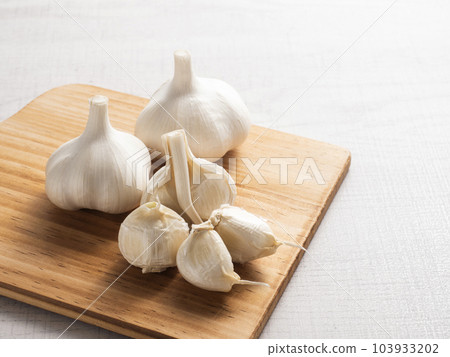 garlic  103933202