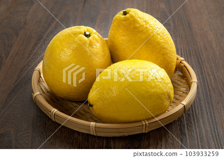 Ehime Prefecture's famous citrus Yuge gourd Ehime Prefecture's famous citrus Yuge gourd 103933259