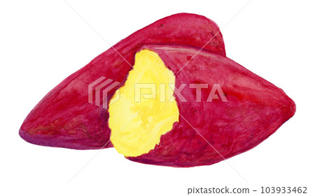 Hand drawn watercolor illustration of a baked sweet potato split in half Hand drawn watercolor illustration of a baked sweet potato split in half 103933462