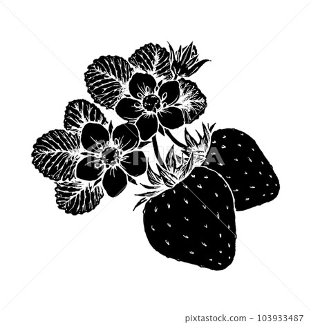 草莓花果(單品)/剪影 草莓花果(單品)/剪影 103933487