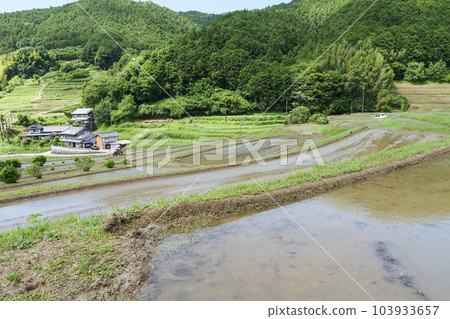 初夏的農村,梯田,稻田,美麗的藍天和陽光 初夏的農村,梯田,稻田,美麗的藍天和陽光 103933657