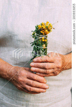 Women's hands hold a bundle of medicinal herbs. Woman herbalist doctor prepares herbal collection, incense Women's hands hold a bundle of medicinal herbs. Woman herbalist doctor prepares herbal collection, incense 103933855