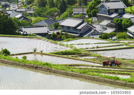 初夏的農村，梯田，稻田，美麗的藍天和陽光 103933903