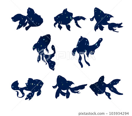 Goldfish material set. Silhouette of a mysterious starry sky pattern. 103934294