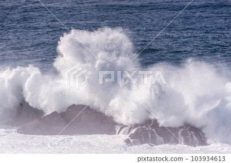 The Pacific Coast The Pacific Coast 103934613