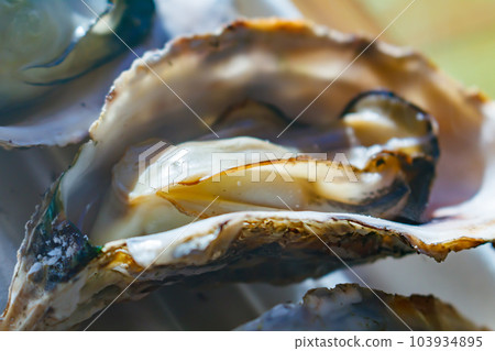 [圖片素材]烤牡蠣（宮城縣松島） 103934895