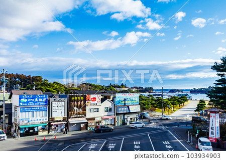 [Natural Scenery in Miyagi] View Around Matsushima Coast 103934903