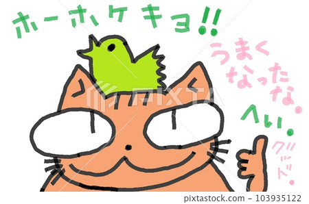 A cat with big eyes and a chair 103935122