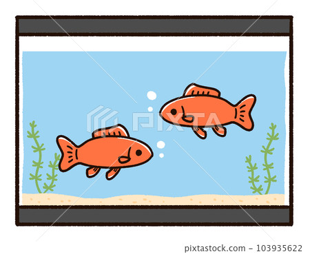 Water tank and goldfish Wakin Water tank and goldfish Wakin 103935622