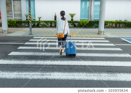 一個提著藍色手提箱的女人穿過人行橫道 一個提著藍色手提箱的女人穿過人行橫道 103935634