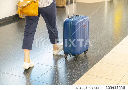 提著藍色手提箱的女人 103935636