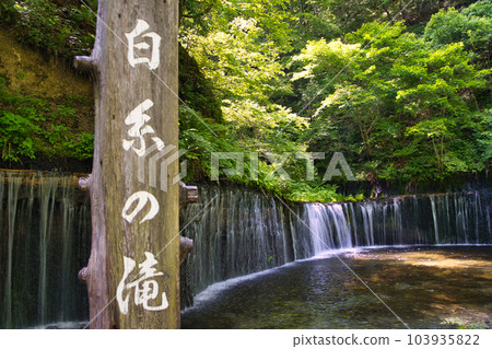 Shiraito瀑布 103935822