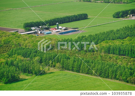 康森高原網格狀防風林 103935878