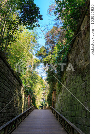 穿過猿島要塞 穿過猿島要塞 103935926