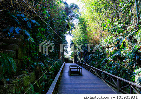 Cut through Sarushima Fortress 103935931