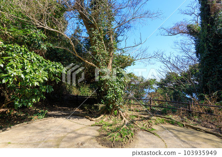 8 cm high-angle gun emplacement on Sarushima 103935949