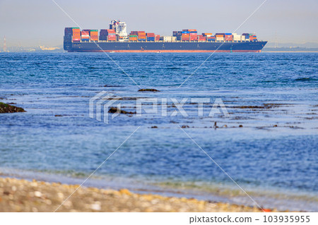 從猿島海岸看到的貨船 103935955
