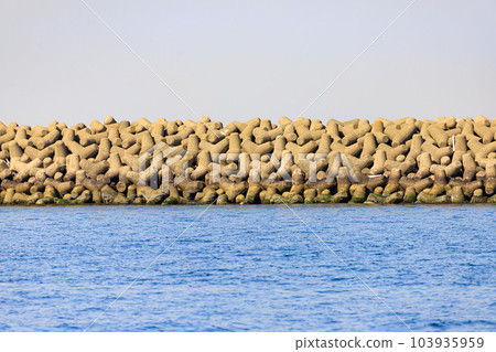 Sea and tetrapod Sea and tetrapod 103935959