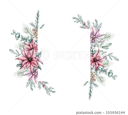 Christmas frame of red poinsettia flower, pine cone, snowberry, waxberry, or ghostberry and emerald spruce branch, pine twig, eucalyptus, evergreen tree, fir, cedar. Hand painted watercolor flower 103936144