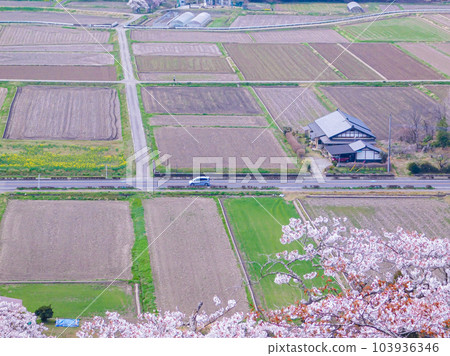 栃木縣那須町蘆野地區的春景 栃木縣那須町蘆野地區的春景 103936346