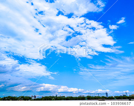六月雨季的葛飾奧堂景色 103936637