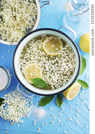 Elderflower cordial lemonade Elderflower cordial lemonade 103936898