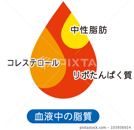 Lipids in the blood Explanatory diagram Lipids in the blood Explanatory diagram 103936914