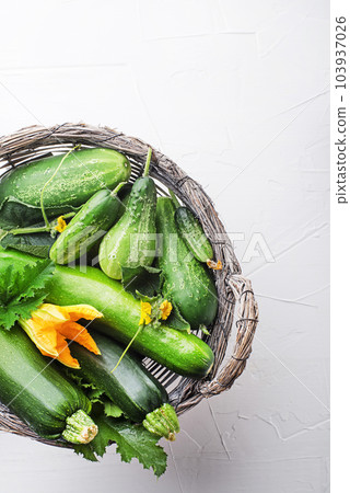 Vegetable crops 103937026