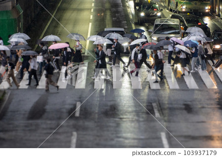 Rainy day Pedestrian crossing image Rainy day Pedestrian crossing image 103937179