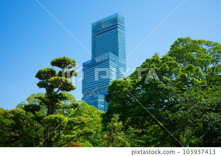 Abeno Harukas and blue sky, young leaves and fresh green 103937413
